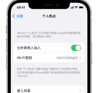 凯里apple服务站点分享iPhone上个人热点丢失了怎么办 