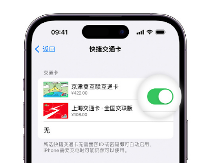 凯里apple维修点分享iPhone上更换Apple Pay快捷交通卡手绘卡面 