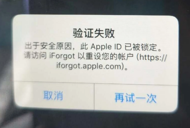 凯里iPhone维修分享iPhone上正常登录或使用AppleID怎么办 