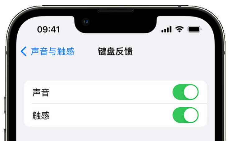 凯里苹果手机维修分享iPhone 14触感键盘使用方法 