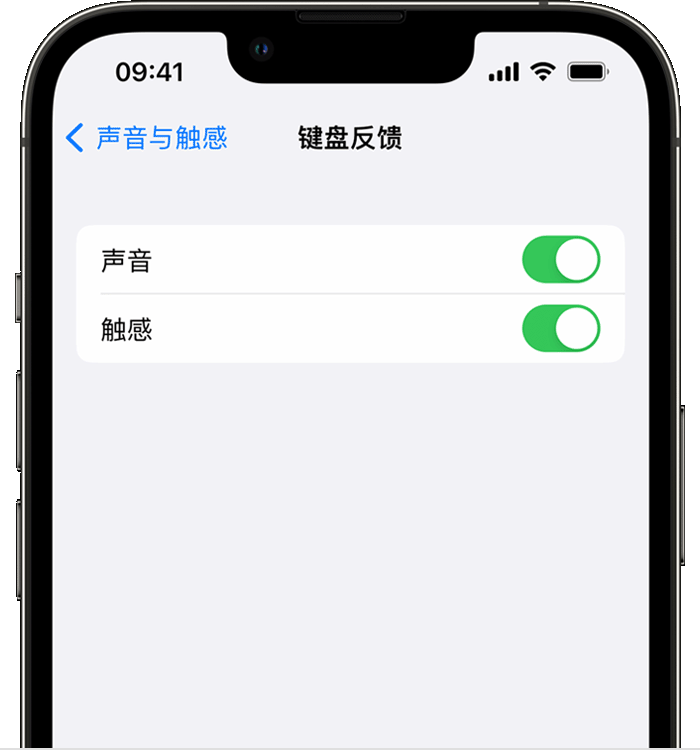 凯里苹果14维修店分享如何在 iPhone 14 机型中使用触感键盘 