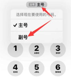 凯里苹果14维修店分享iPhone 14 Pro Max使用副卡打电话的方法 