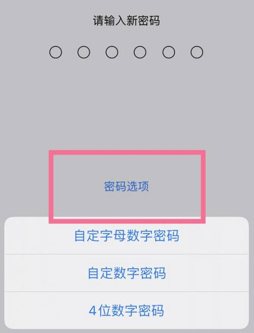 凯里苹果14维修分享iPhone 14plus设置密码的方法 