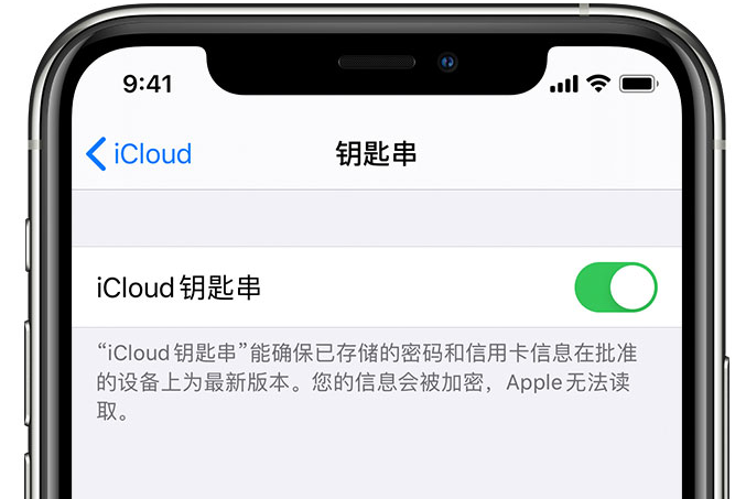 凯里苹果手机维修分享在 iPhone 上开启 iCloud 钥匙串之后会储存哪些信息 