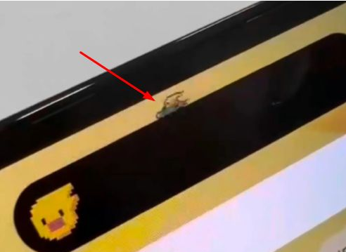 凯里苹果14维修分享iPhone 14 Pro Max灵动岛怎么养宠物 