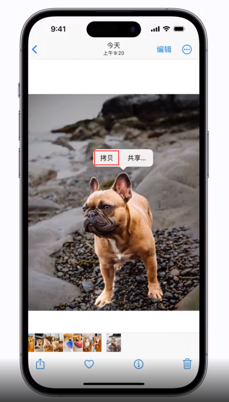凯里苹果手机维修分享 iOS 16 自带一键抠图功能 