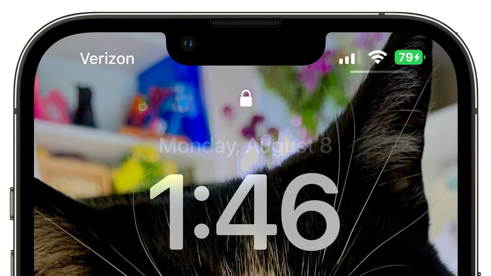 凯里苹果手机维修分享iOS 16 beta 5 支持状态栏显示电池百分比，如何开启？支持哪些机型 
