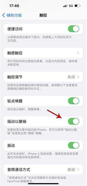 凯里苹果手机维修分享iPhone手机如何设置摇一摇删除文字 