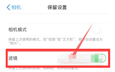 凯里苹果13维修分享iPhone13拍照有绿点是怎么回事 