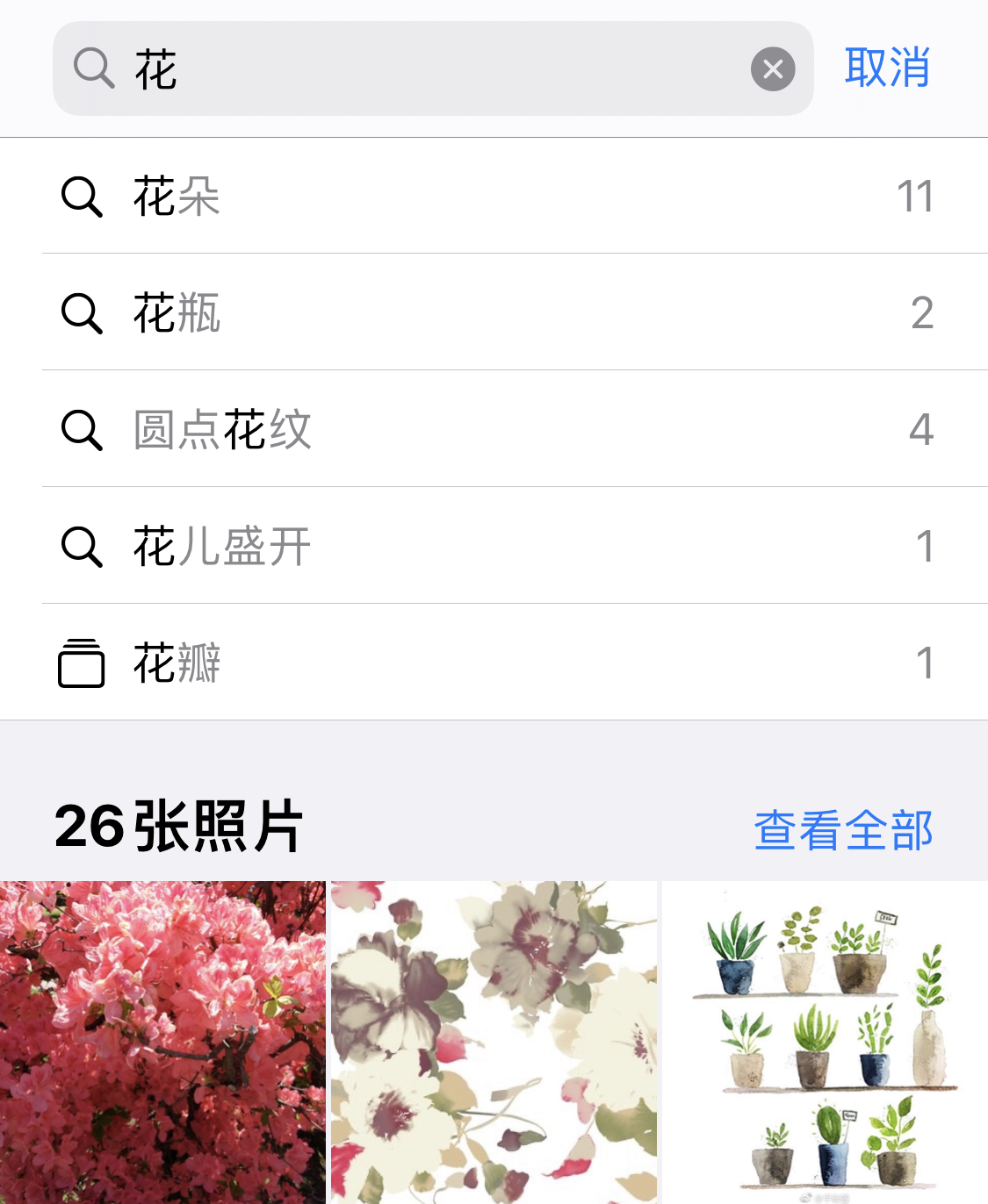 凯里苹果手机维修分享iPhone 小技巧 