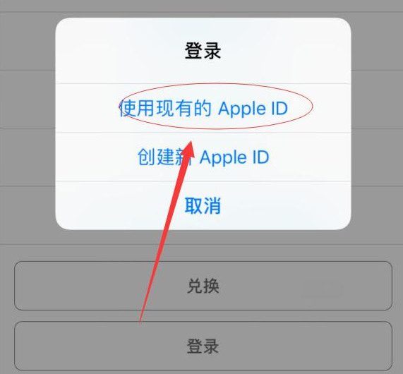 凯里苹果手机维修分享两台iPhone设备可以同时登录一个Apple ID吗 